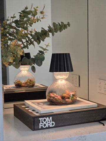Choose Our Lamp Terrarium option