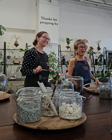 Engaging Workshops for Plant Enthusiasts and Decorators