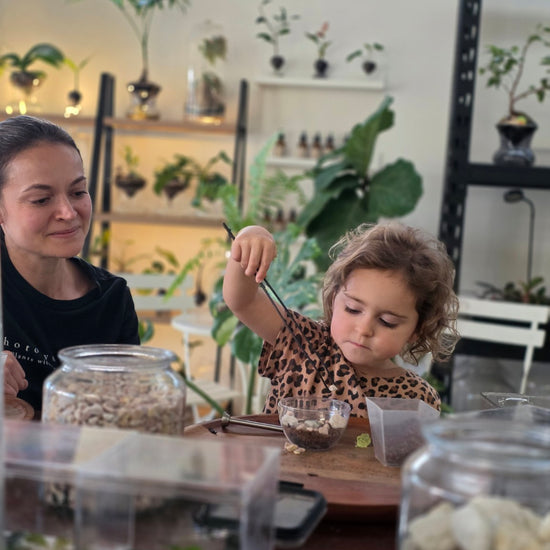 Hands-on planting at Photosynthesis: a child placing terrarium materials with planting tweezers