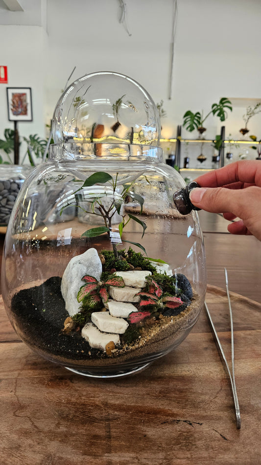 Terrarium Cleaner
