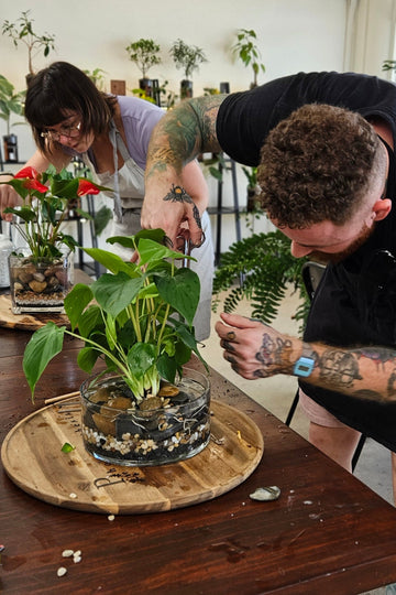 Aquascape Workshop