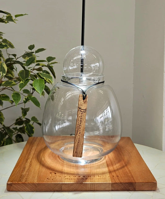 DIY Terrarium Kit