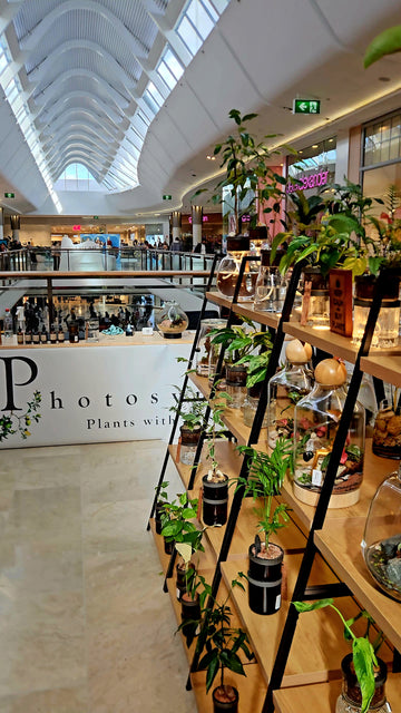 The Gift Shop – Full Retail Collection