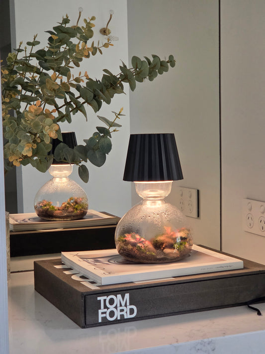 Lamp Terrarium DIY Kit