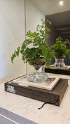 ISLA - Self Watering Planter