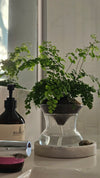 ISLA - Self Watering Planter