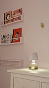 Lamp Terrarium DIY Kit