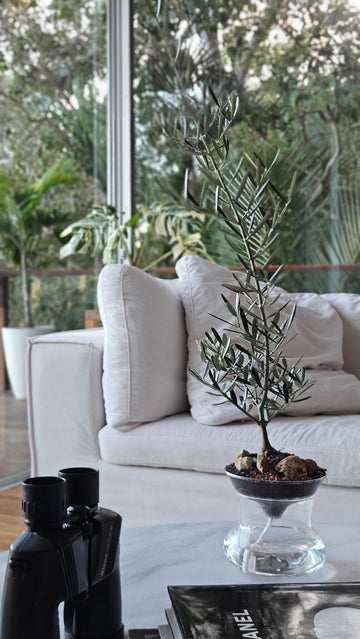 ISLA - Self Watering Planter