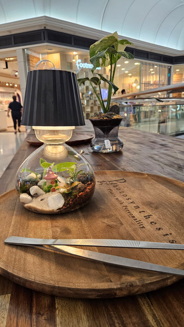 Large Lamp Vase Upgrade