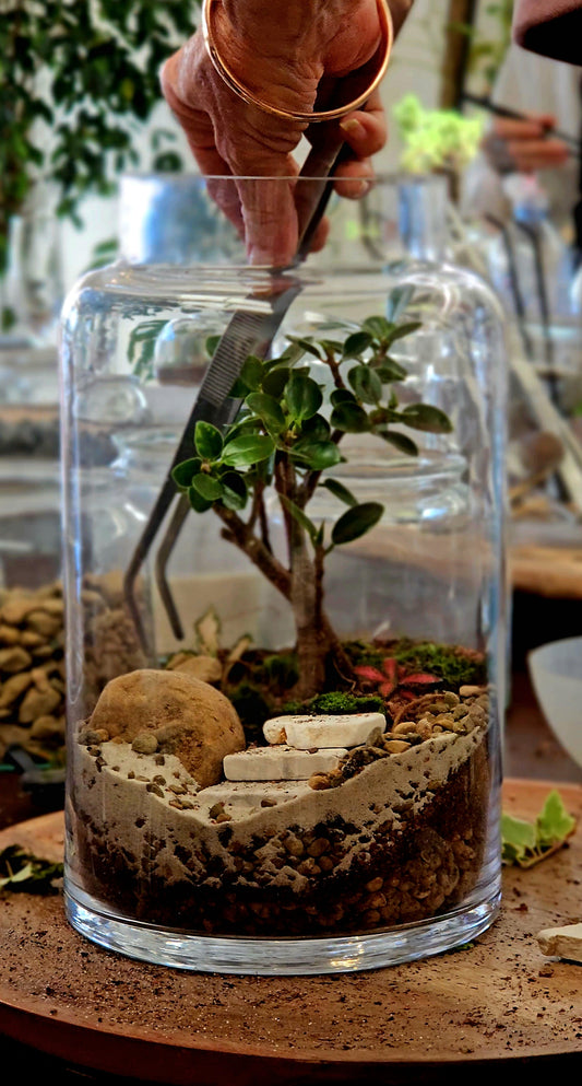 Bonsai Terrarium Upgrade (Includes Vase upgrade)