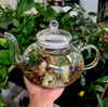 Tea pot Terrarium Kit
