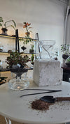 Self-Watering Gift Box - Complete Starter Pack