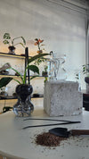 Self-Watering Gift Box - Complete Starter Pack