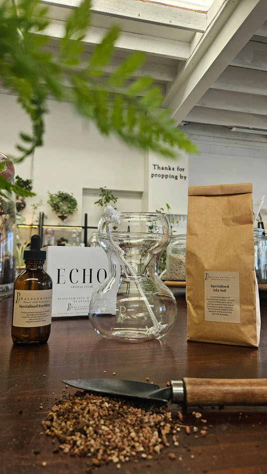 Self-Watering Gift Box - Complete Starter Pack