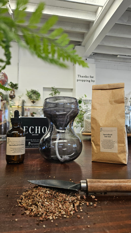 Self-Watering Gift Box - Complete Starter Pack
