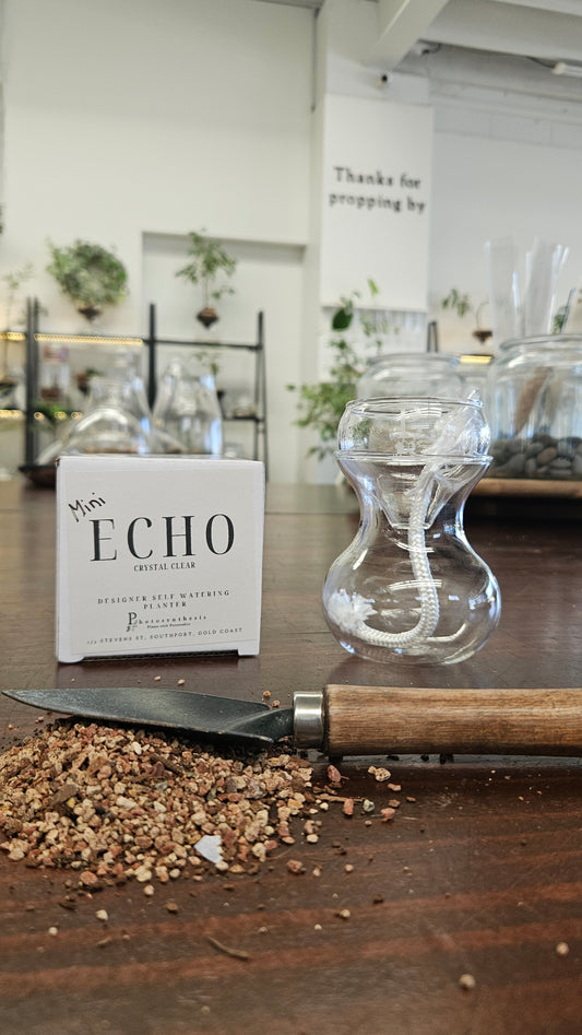 Mini Echo Self-Watering Planter | Crystal Clear Design