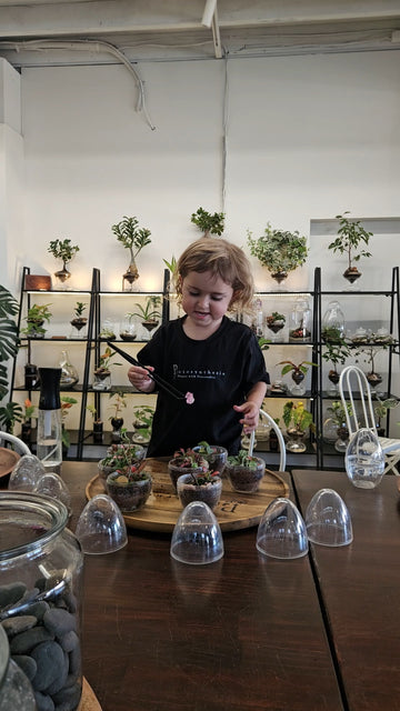 My First Terrarium - Egg Terrarium Kit