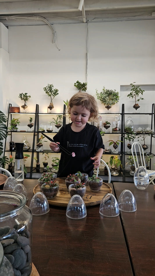 My First Terrarium - Egg Terrarium Kit