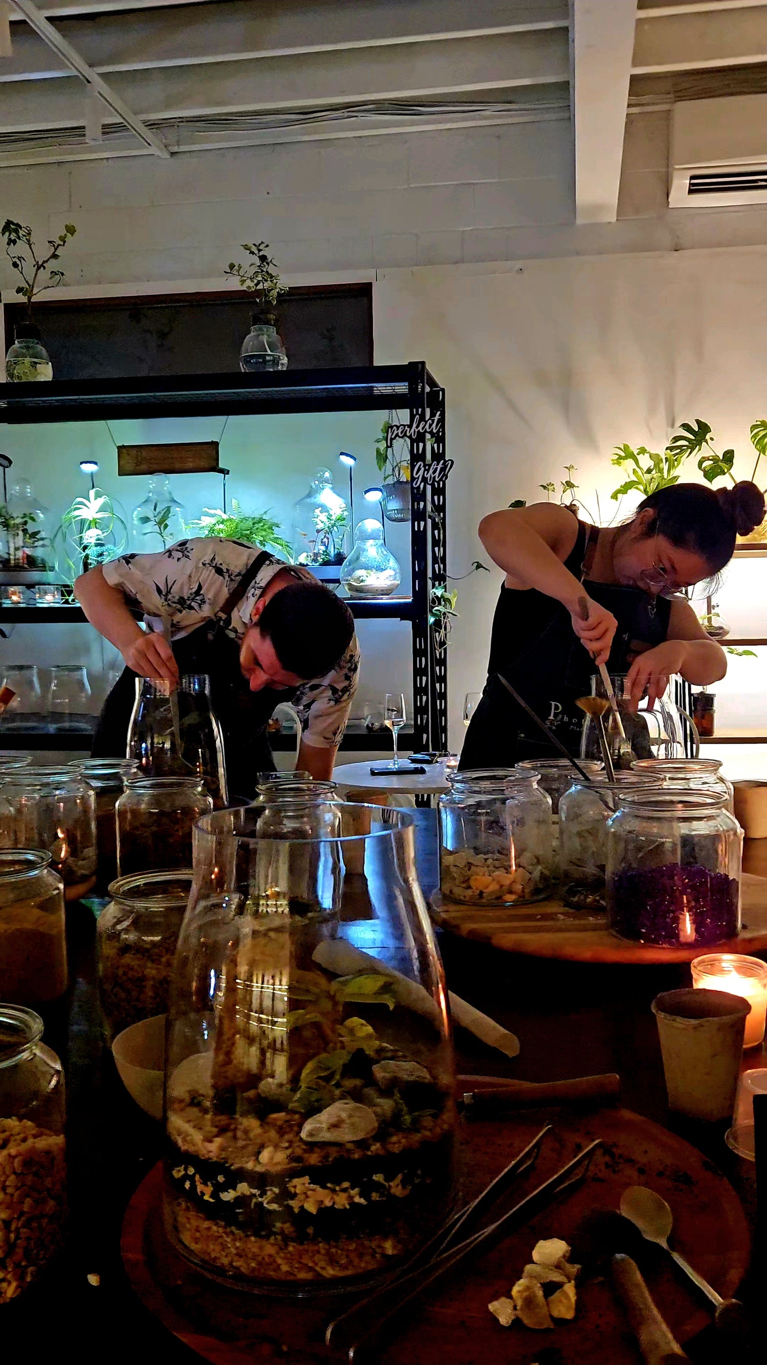 Photosynthesis Plants