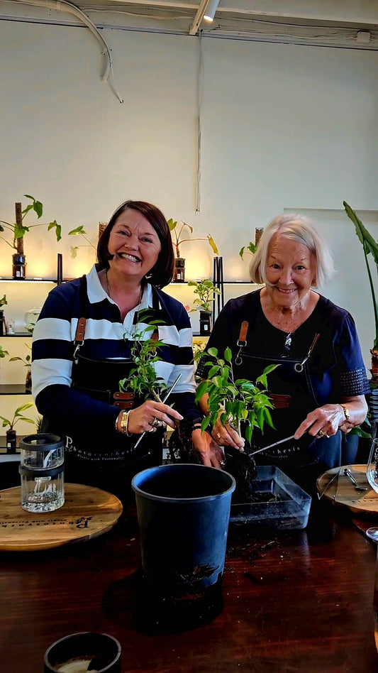 Photosynthesis Vouchers