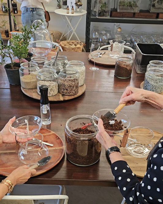 Starter pack ( Soil + Decorative Rocks )