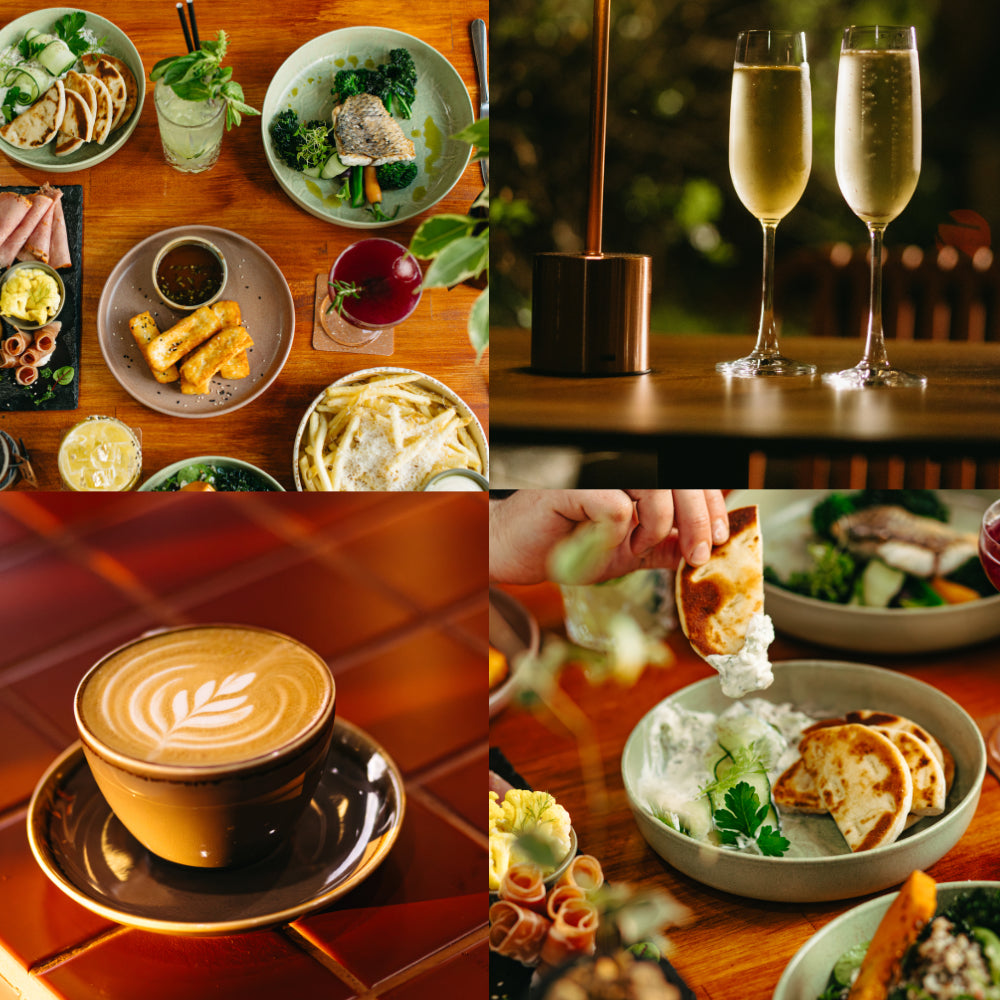 Photosynthesis Plants