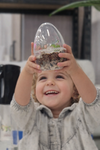 My First Terrarium - Egg Terrarium Kit