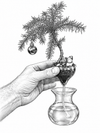 Mini Echo removable planting bowl and water reservoir