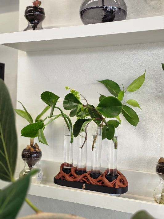Photosynthesis propagation station with four glass test tubes holding plant cuttings, with a sculptural terracotta-coloured base.
