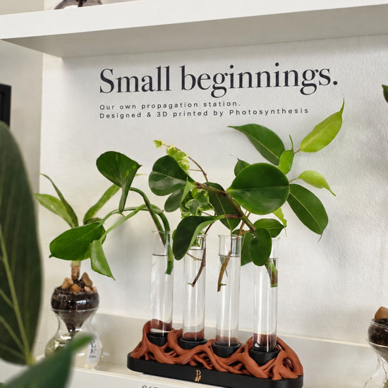 Small beginnings: Photosynthesis propagation station, designed and 3D printed in-store, $65 including four glass test tubes.