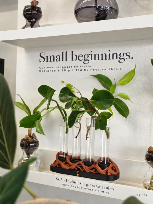 Small beginnings: Photosynthesis propagation station, designed and 3D printed in-store, $65 including four glass test tubes.