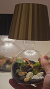 Lamp Terrarium DIY Kit