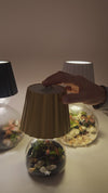 Lamp Terrarium DIY Kit