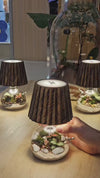 Lamp Terrarium Cleaner