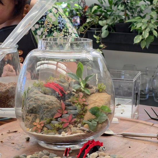 Orb terrarium — example planted landscape; decorative details vary