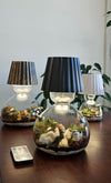 Lamp Terrarium DIY Kit