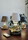 Large Lamp terrarium example
