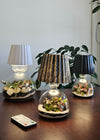 Lamp Terrarium DIY Kit