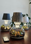 Lamp Terrarium DIY Kit
