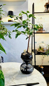 Echo - Self Watering Planter