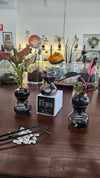 Mini Echo Self-Watering Planter