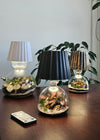 Lamp Terrarium DIY Kit