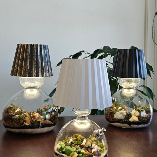 Small Lamp terrarium example
