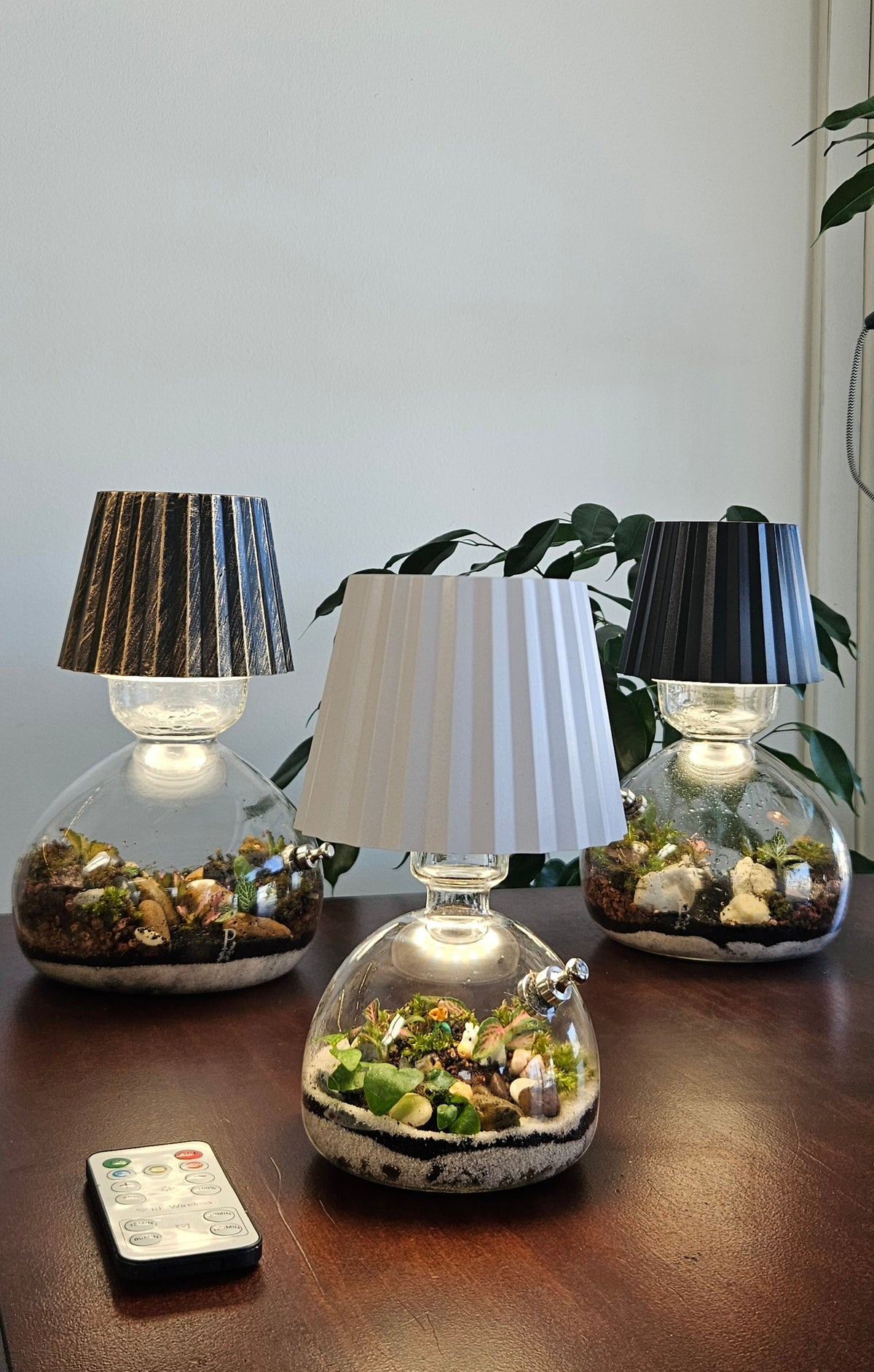 Small Lamp terrarium example