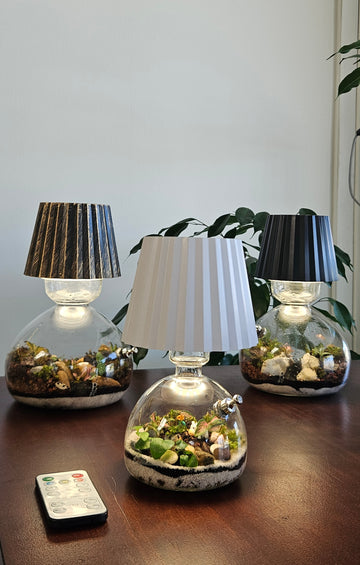 Lamp Terrarium Christmas Workshop